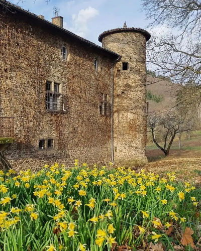 Château De Villars - Condrieu