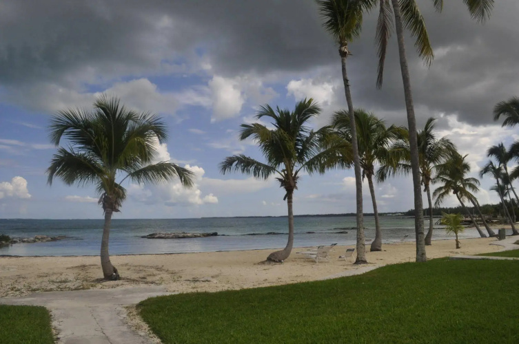 Hammock Heaven by Living Easy Abaco