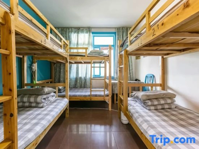 Bed in Dorm (male dorm)