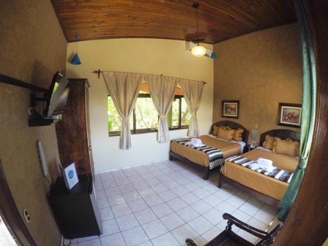 Standard Quadruple room with view
