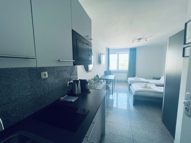 Standard Twin Apartment