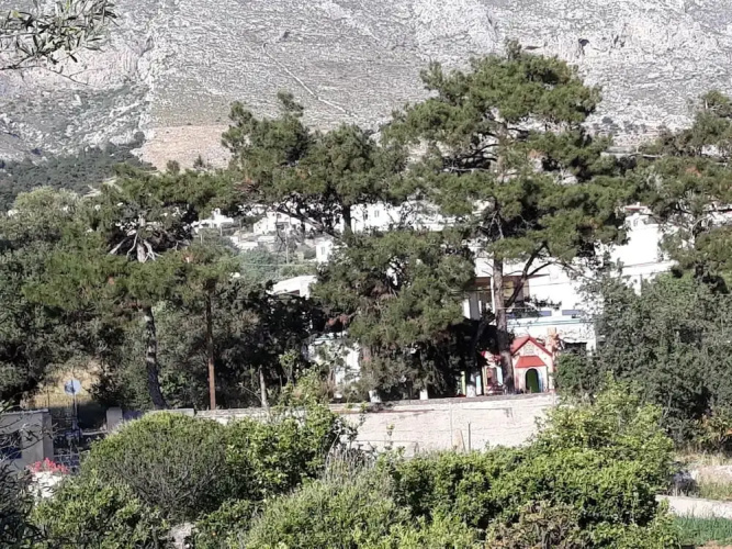 Mela Studios