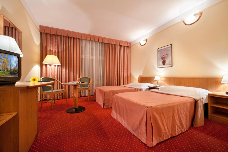 Hotel Aron