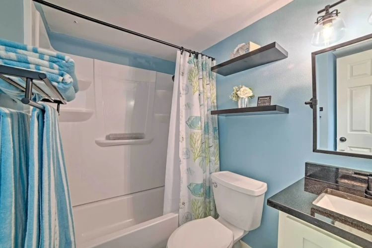 1 Bedroom Apartment