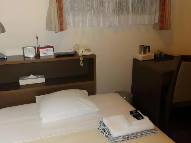 Hotel Yanagibasi