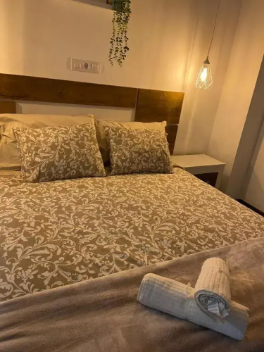 Canary apartments arava