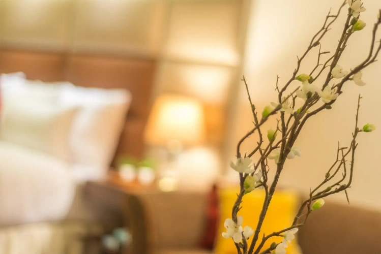 Executive Double Suite