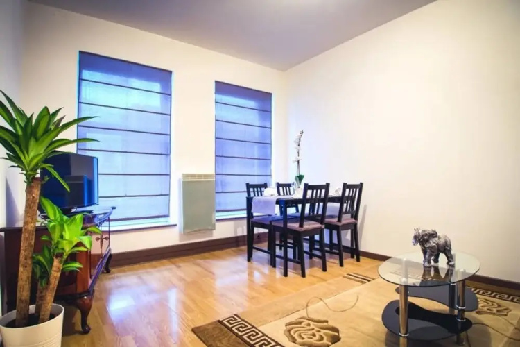 Petite France: Nice and Equiped Flat