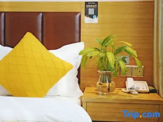 Comfort Single room