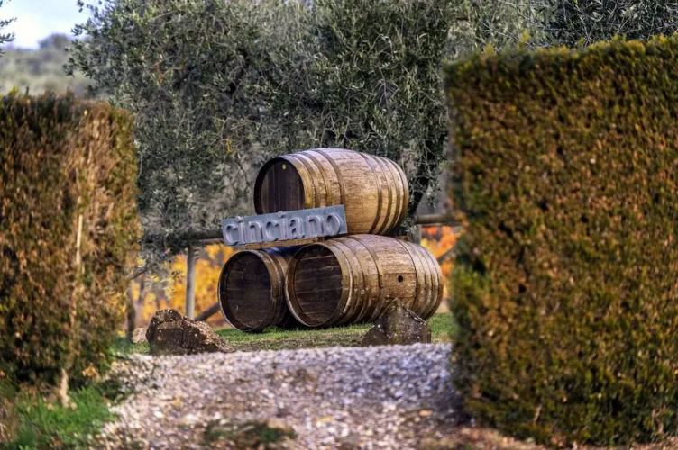La Terrazza di Cinciano