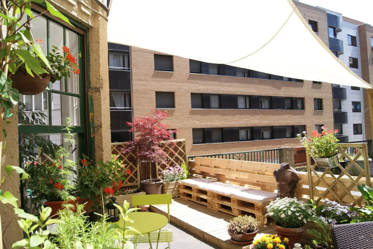 Aloha Hostel