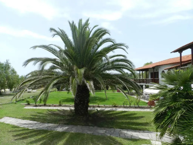 Villa Papapostolou