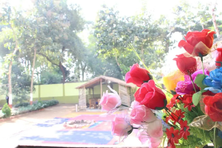 Sachi Home