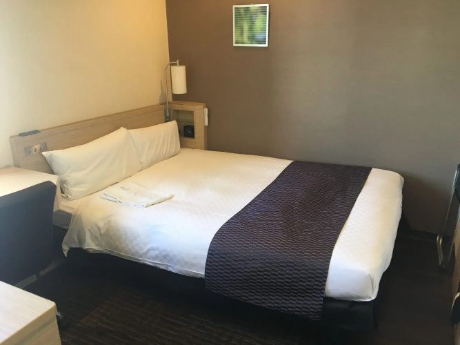 Jr West Group Via Inn Akihabara