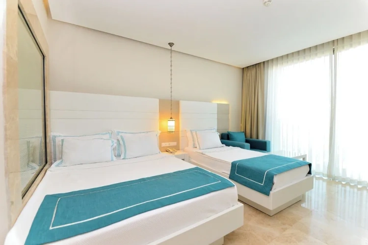 Deluxe Triple room