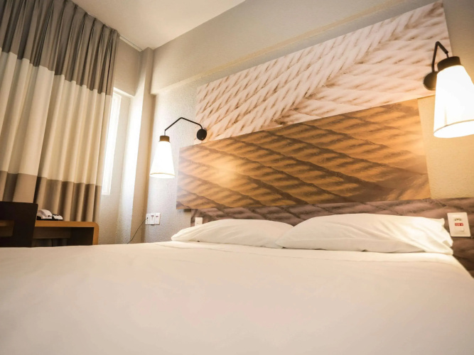 Ibis Teresina