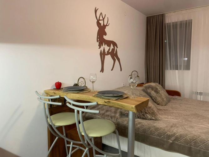 Bansko Ski To Door Studio De Luxe