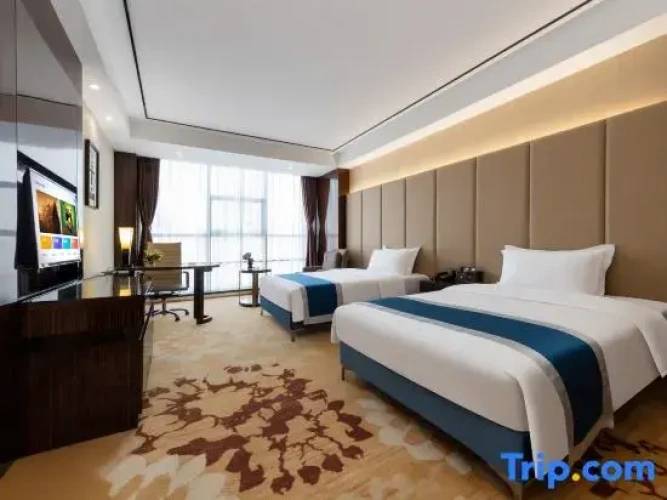 Deluxe Twin room with city view