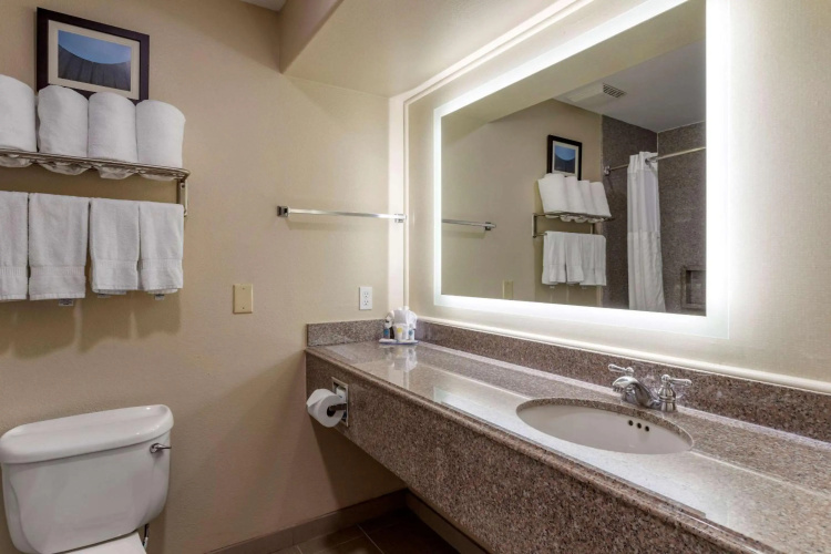 Comfort Suites near Texas Medical Center – NRG Stadium photo 11