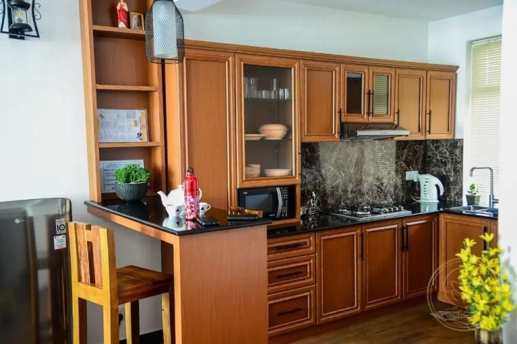 Luxury Apartment