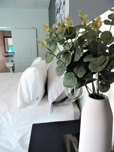 The Lantern Guesthouse