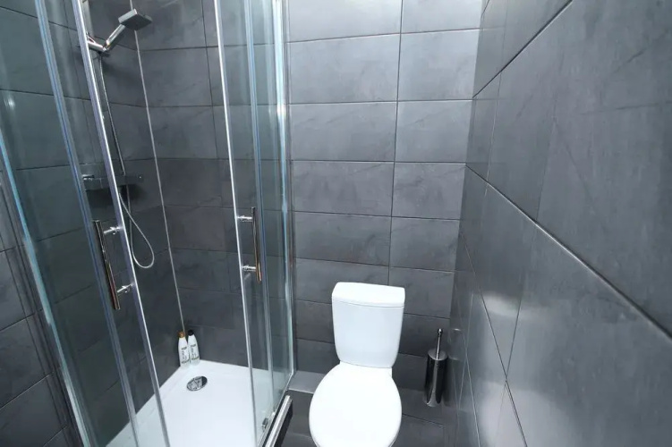 Sycamore Street Templebar Apartment