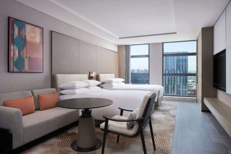 Deluxe Twin room with city view