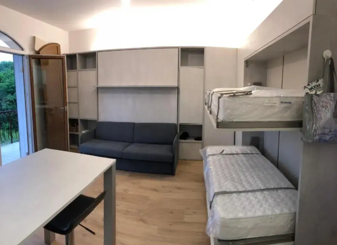 1 Bedroom Apartment