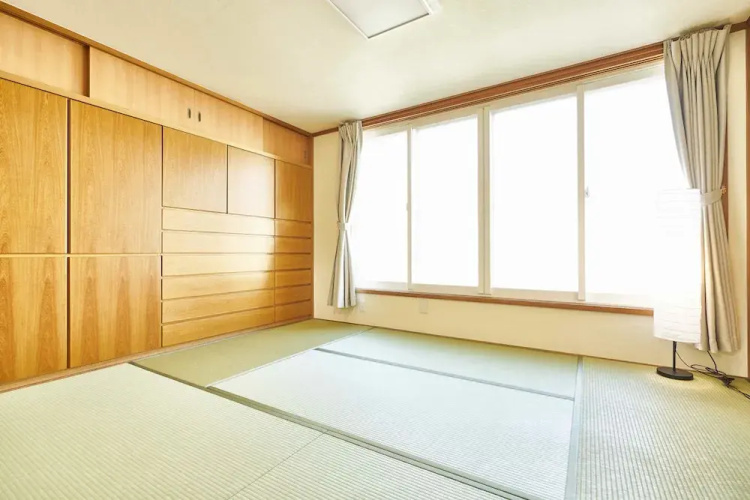 Horii Tei Vr