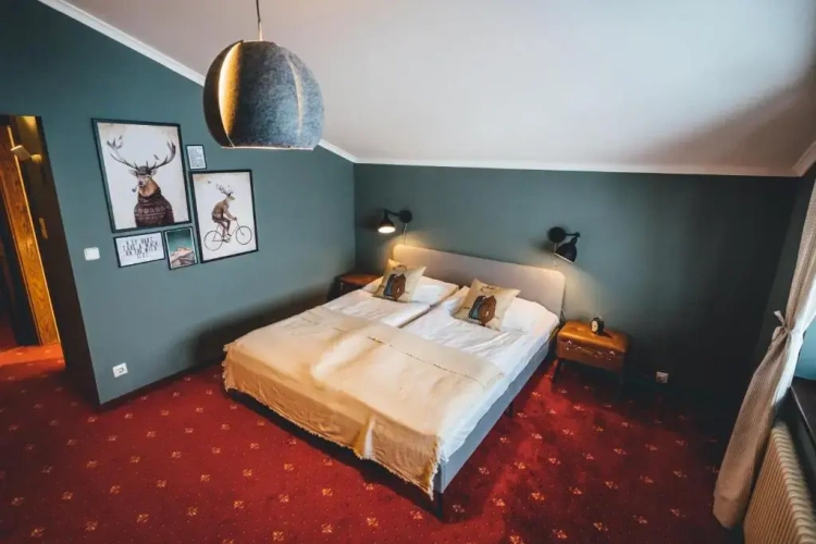Standard Double room with view