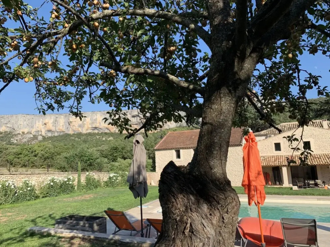 Le Mas aux Cèdres