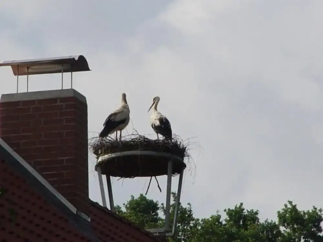 Ferienwohnung Zum Storchenblick