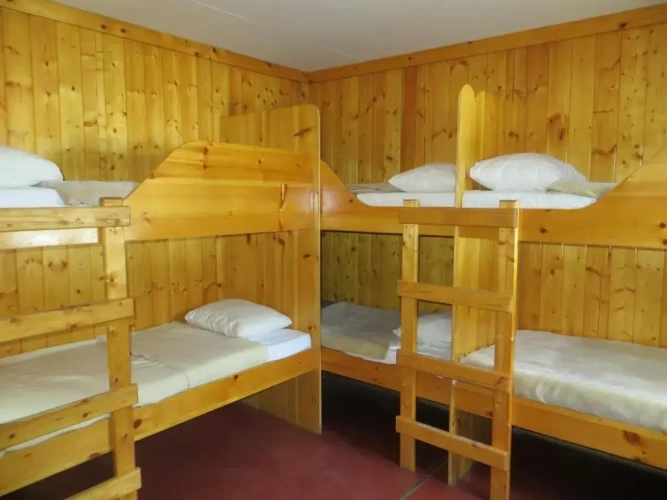 Bed in Dorm