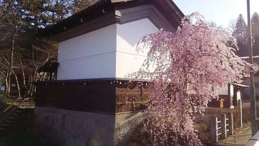 Yuya Takanoyu