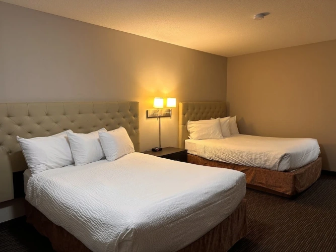 Quadruple Suite