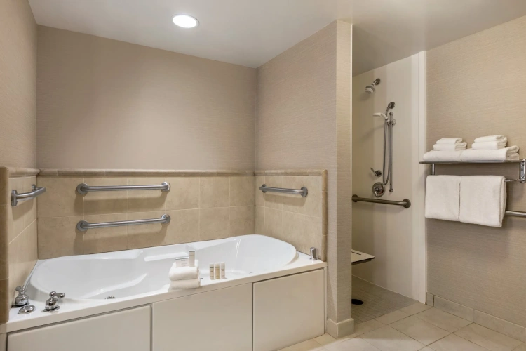1 Bedroom Suite