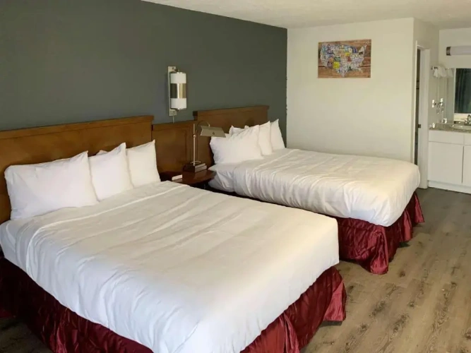 Standard Twin room