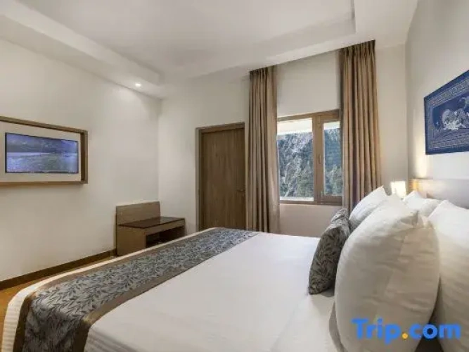 Privilege Double room with balcony and with mountain view