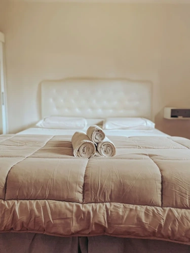 Standard Double room with courtyard view