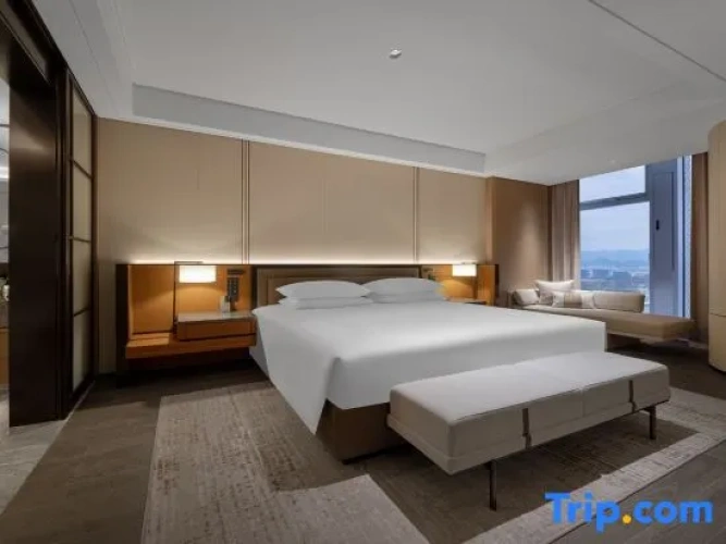 Business Double room with city view