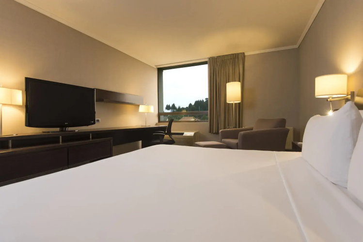Holiday Inn Express Concepcion — фото 2