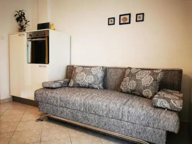 Apartman Žic