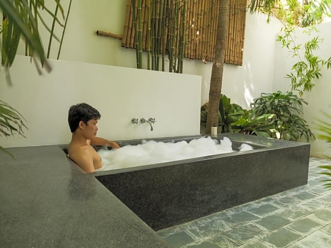 Deluxe Twin room with balcony and with garden view