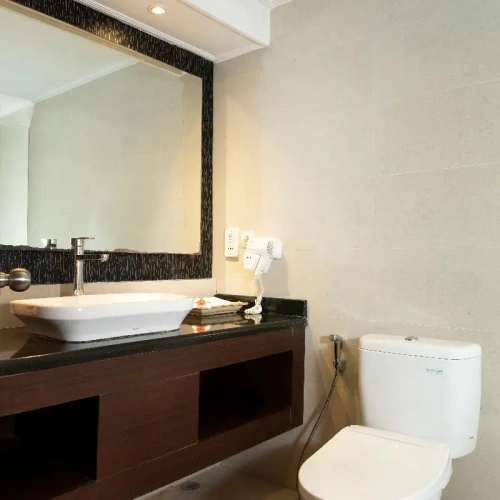 Standard Double room with balcony and with ocean view