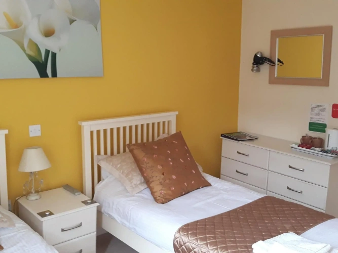 Standard Twin room