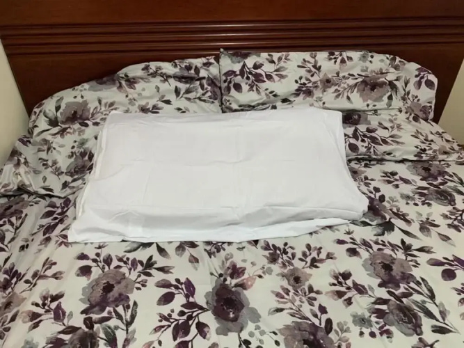 Busy Bee Guest House