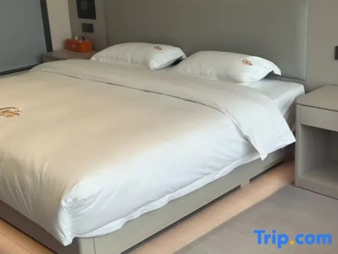 Standard Double room with mountain view