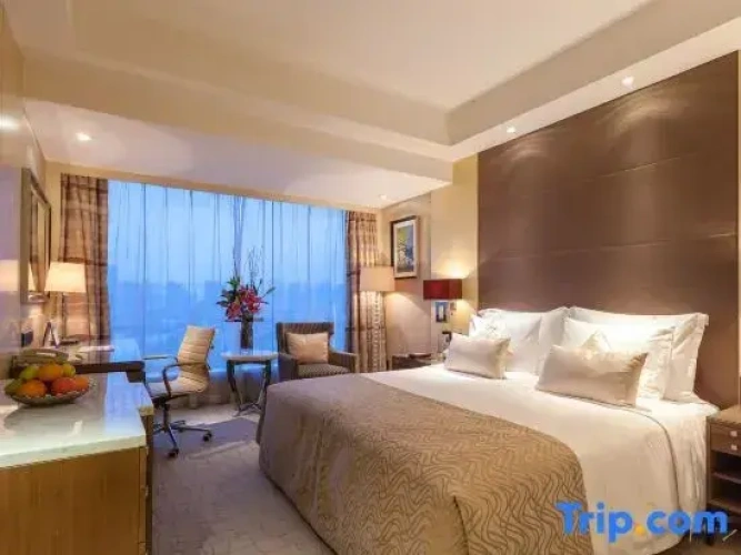 Deluxe Double room with city view