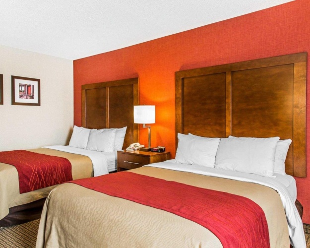 Standard Double room