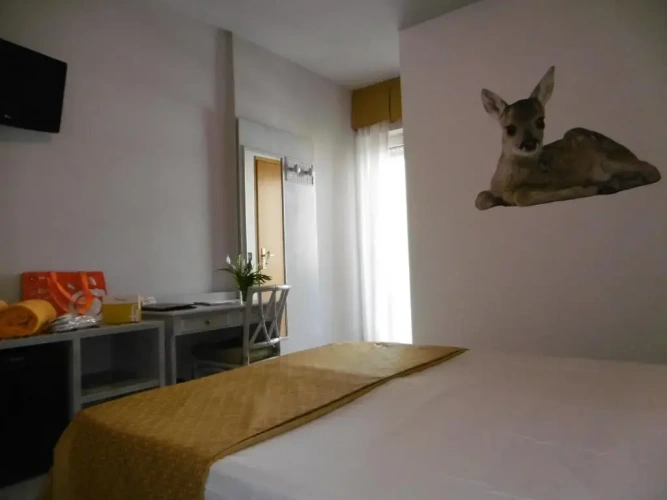 Economy Double room